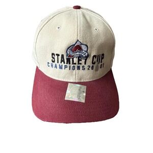 Stanley Cup 2001 Champion Hat Vintage New Twin Enterprises H102